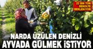 Narda üzülen Denizlili üretici, ayvada gülmeyi umuyor