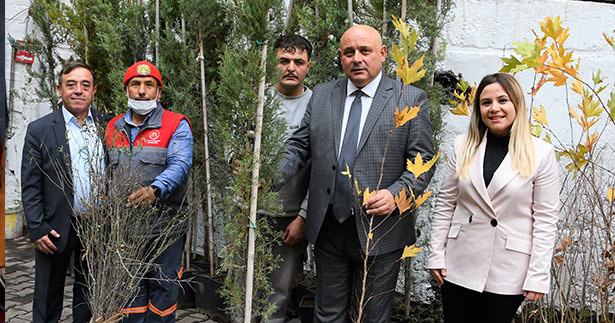 Buldan’a hibe fidan desteği sürüyor