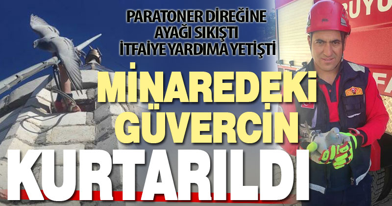Paratoner direğine sıkışan güvercin kurtarıldı