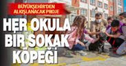 Büyükşehir’den alkışlanacak proje: Her okula bir sokak köpeği
