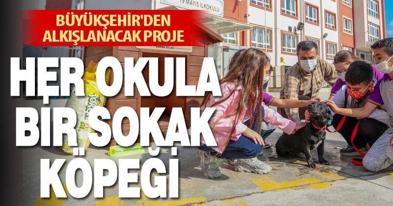Büyükşehir’den alkışlanacak proje: Her okula bir sokak köpeği