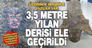 Üzerinde İbranice yazılı figürler bulunan yılan derisi ele geçirildi