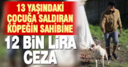 Çocuğa saldıran pitbull cinsi köpeğin sahibine 12 bin lira ceza kesildi