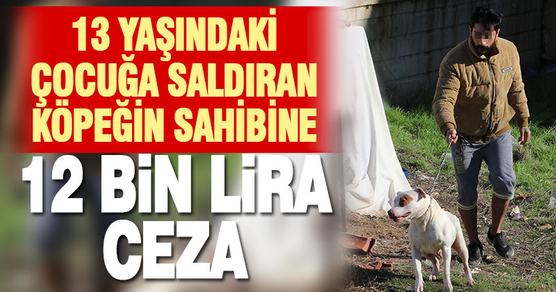 Çocuğa saldıran pitbull cinsi köpeğin sahibine 12 bin lira ceza kesildi