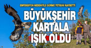 Enfeksiyon nedeniyle görme yetisini kaybeden kartala Büyükşehir ışık oldu