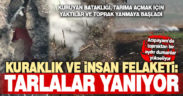 Acıpayam’da suların çekildiği sazlık, tarıma açılmak için yakıldı, toprak bir aydır sönmedi