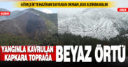 Göveçlik’te yazın yanan ormanlık alan kar altında kaldı