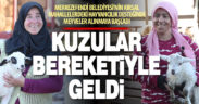 Merkezefendi’de kadın üreticilere dağıtılan koyunlar doğum yapmaya başladı