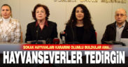 Sokak hayvanları genelgesi hayvanseverleri tedirgin etti