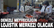 Denizli meyveciliğin lojistik merkezi olacak
