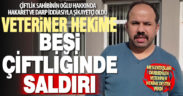 Kale’de veteriner hekim besi çiftliğinde saldırıya uğradı