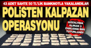 Denizli polisinden kalpazan operasyonu