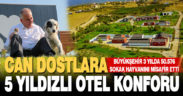 Büyükşehir 3 yılda 50.576 sokak hayvanını misafir etti