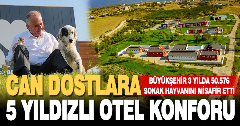 Büyükşehir 3 yılda 50.576 sokak hayvanını misafir etti