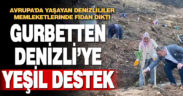 Avrupa’da yaşayan Denizlililer memleketlerinde fidan dikti