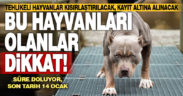 Tehlikeli hayvanlar için tanınan süre doluyor