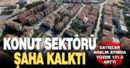 Konut sektörü şaha kalktı, satışlar yüzde 131.5 arttı