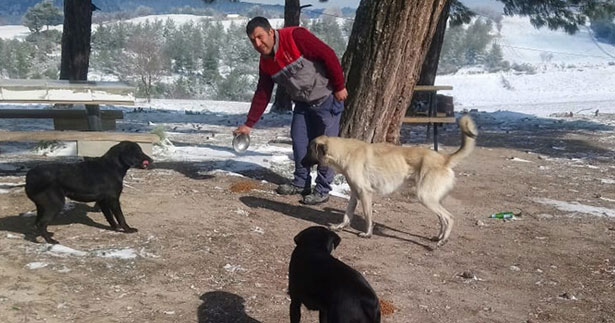Buldan’da sokak hayvanları yalnız bırakılmadı