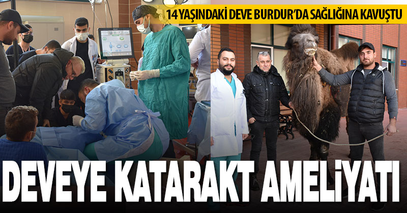 Sarayköylü çiftçinin devesine Burdur’da katarakt ameliyatı yapıldı