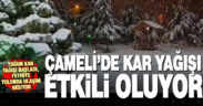 Çameli’de yoğun kar yağışı etkili oluyor