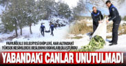 Pamukkale Belediyesi yaban hayvanları için beslenme odakları oluşturdu
