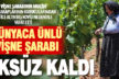 ‘Vişne şarabının mucidi’ Hatice Altıntaş Kovid-19’dan vefat etti