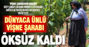 ‘Vişne şarabının mucidi’ Hatice Altıntaş Kovid-19’dan vefat etti