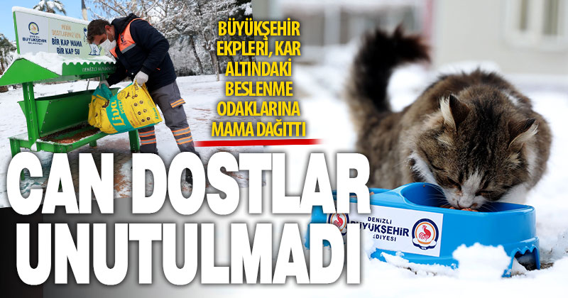 Büyükşehir, sokak hayvanlarını karda da beslemeyi ihmal etmedi