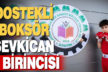 DOSTEKLİ BOKSÖR ŞEVKİCAN, İL BİRİNCİSİ