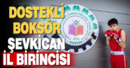 DOSTEKLİ BOKSÖR ŞEVKİCAN, İL BİRİNCİSİ