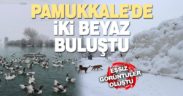 Beyaz cennet Pamukkale’ye kar yağdı: İki beyaz buluştu