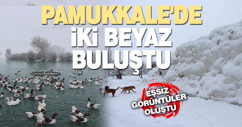 Beyaz cennet Pamukkale’ye kar yağdı: İki beyaz buluştu