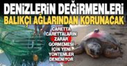 “Denizlerin değirmenlerini” korumak için bilim insanlarına balıkçılardan destek