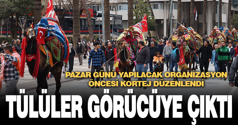 Denizli’de deve güreşi öncesi, develerle kortej yapıldı