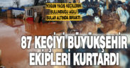Mahsur kalan keçileri itfaiye ve DESKİ ekipleri kurtardı