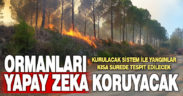 Orman yangınlarına ‘yapay zeka’ ile anında tespit