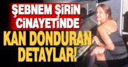 Şebnem Şirin cinayetinde kan donduran detaylar!
