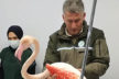 Yaralı bulunan flamingo tedavi altına alındı
