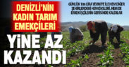 Denizlili kadın tarım işçilerinin yevmiyesi Türkiye ortalamasının ve erkeklerin gerisinde kaldı