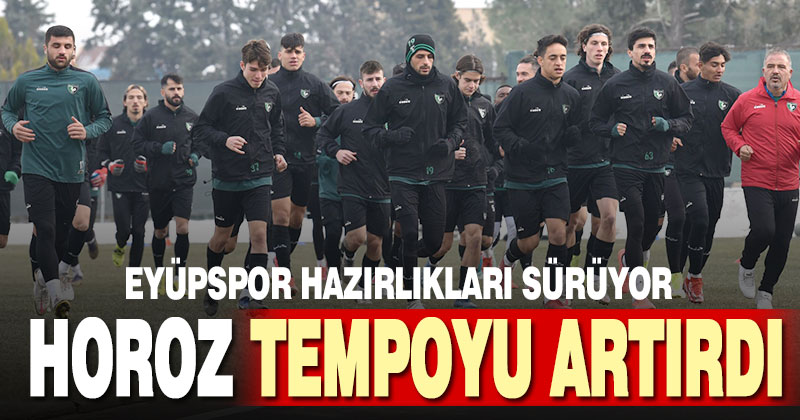 Denizlispor, Eyüpspor maçı hazırlıklarını sürdürüyor