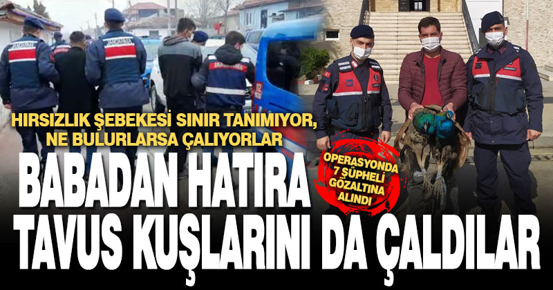Denizli’de hırsızlık operasyonunda 7 şüpheli yakalandı