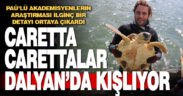 PAÜ’lü bilim insanları ortaya çıkardı: 100 Caretta caretta göç etmiyor, Dalyan’da kışlıyor