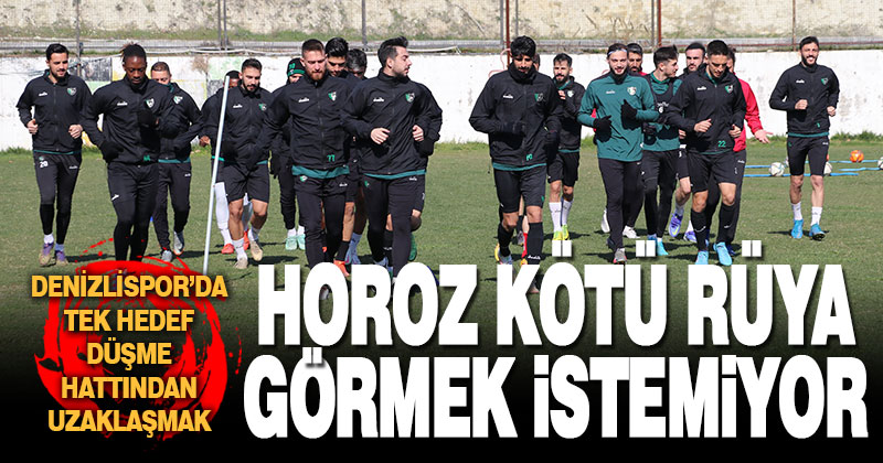 Denizlispor’da tek hedef düşme hattından uzaklaşmak