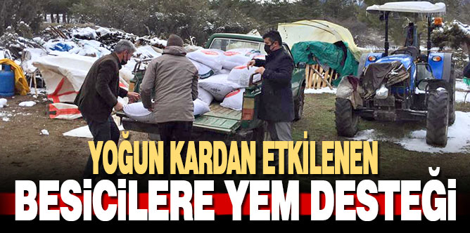 Kardan zara gören besicilere yem desteği