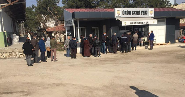 TMO’dan besicilere arpada son gün çağrısı
