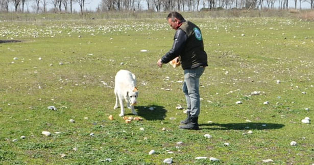 DENOLDER’den yaban hayatına destek
