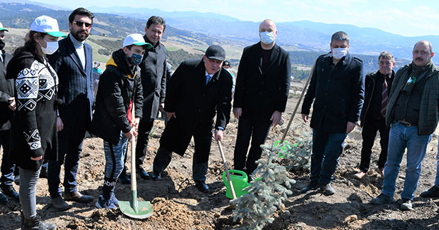 Buldan protokolünden ağaçlandırma atağı