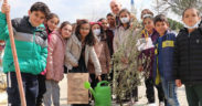 Okul bahçesine zeytin fidanları dikildi