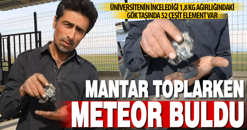 Mantar toplamaya giden işçi 1,8 kilogram ağırlığında gök taşı buldu