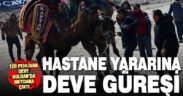Buldan’da tülüler hastane için güreşti